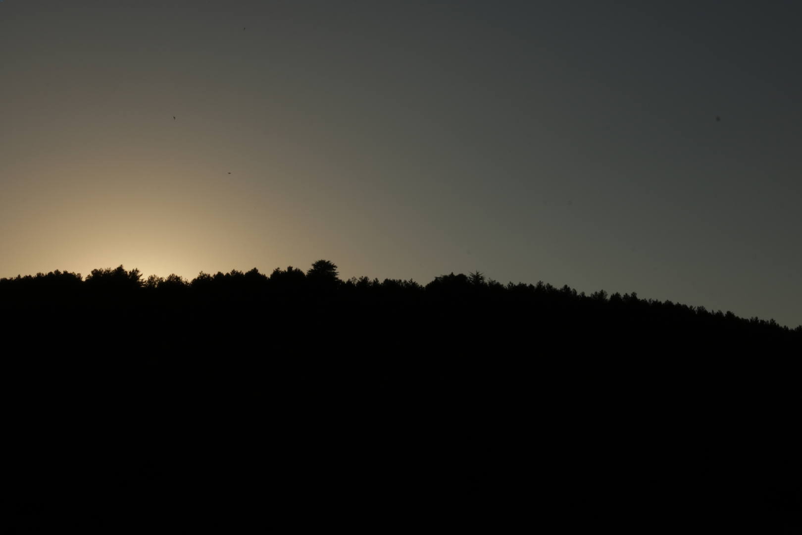 Atardecer