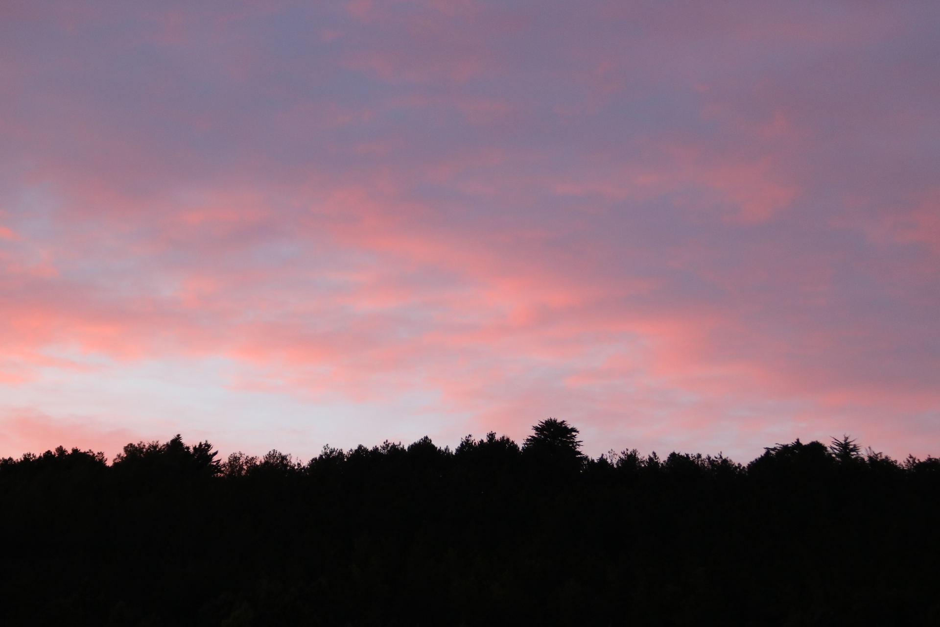 Atardecer