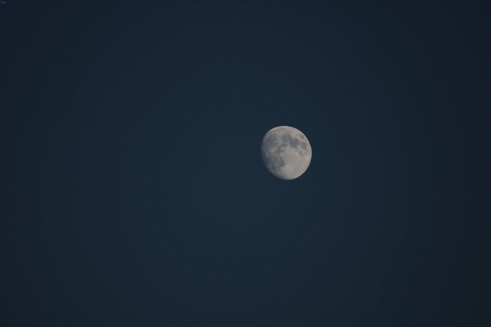 luna