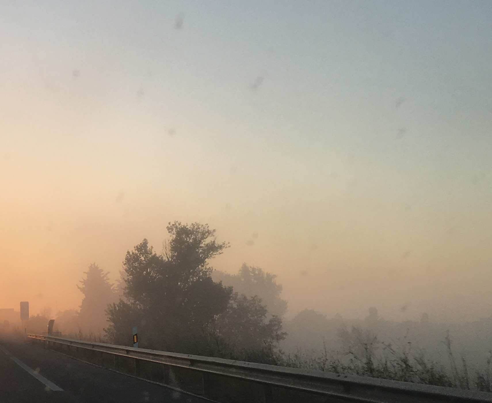 niebla
